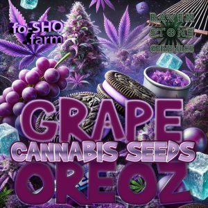 GRAPE OREOZ - 10 CANNABIS SEEDS