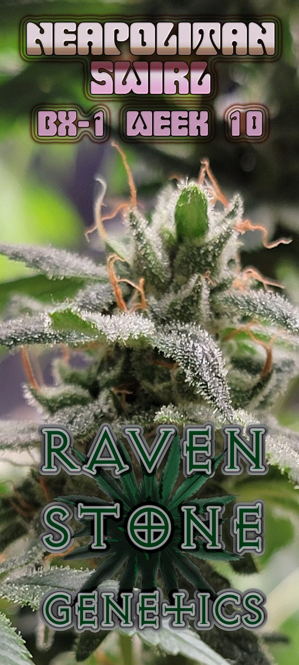 Neapolitan Swirl Cannabis Strain