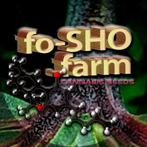 Featured Cannabis Seeds