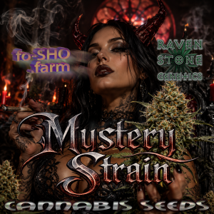 Mystery Strain Cannabis Seeds