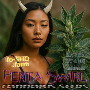 Penta Swirl Cannabis Seeds