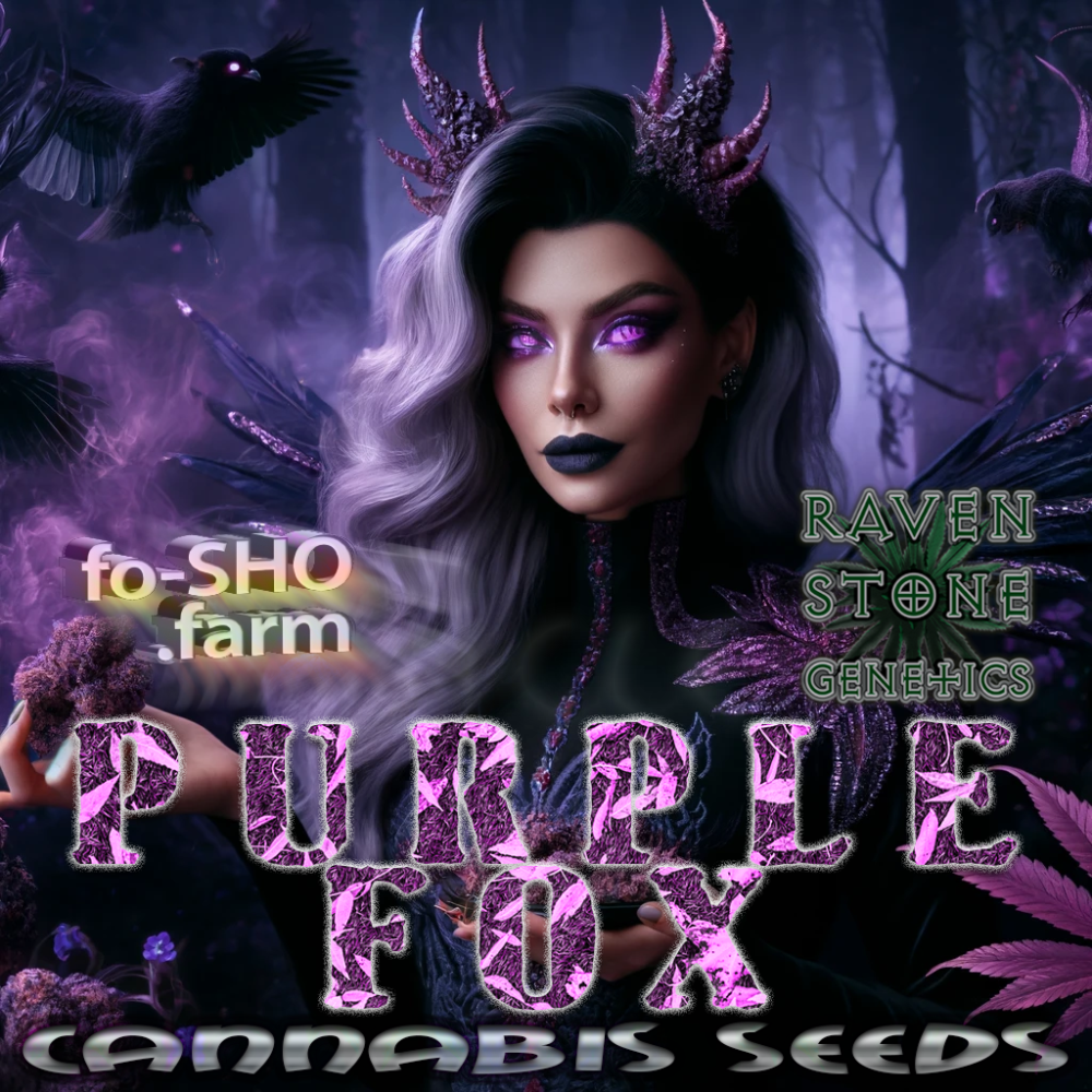 Purple Fox Cannabis Seeds