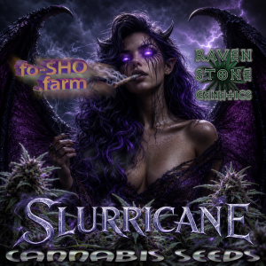 SLURRICANE Cannabis Seeds