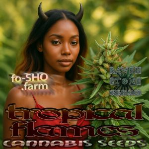 Tropical Flames Cannabis Seeds