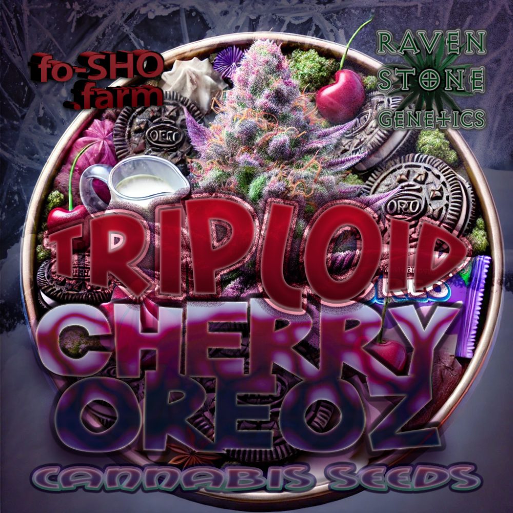Triploid Cannabis Seeds - Cherry Oreoz