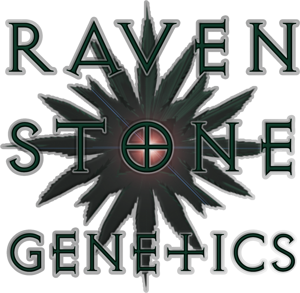 RAVEN STONE GENETICS