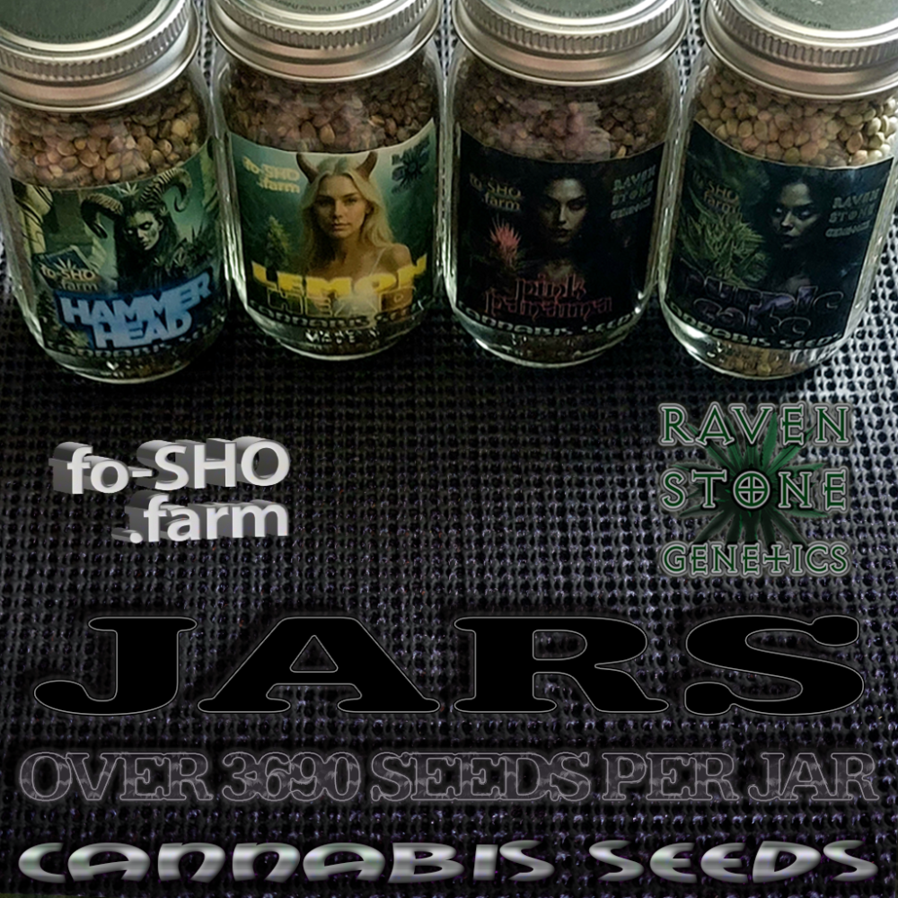 JARS OF CANNABIS SEEDS