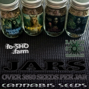 JARS OF CANNABIS SEEDS