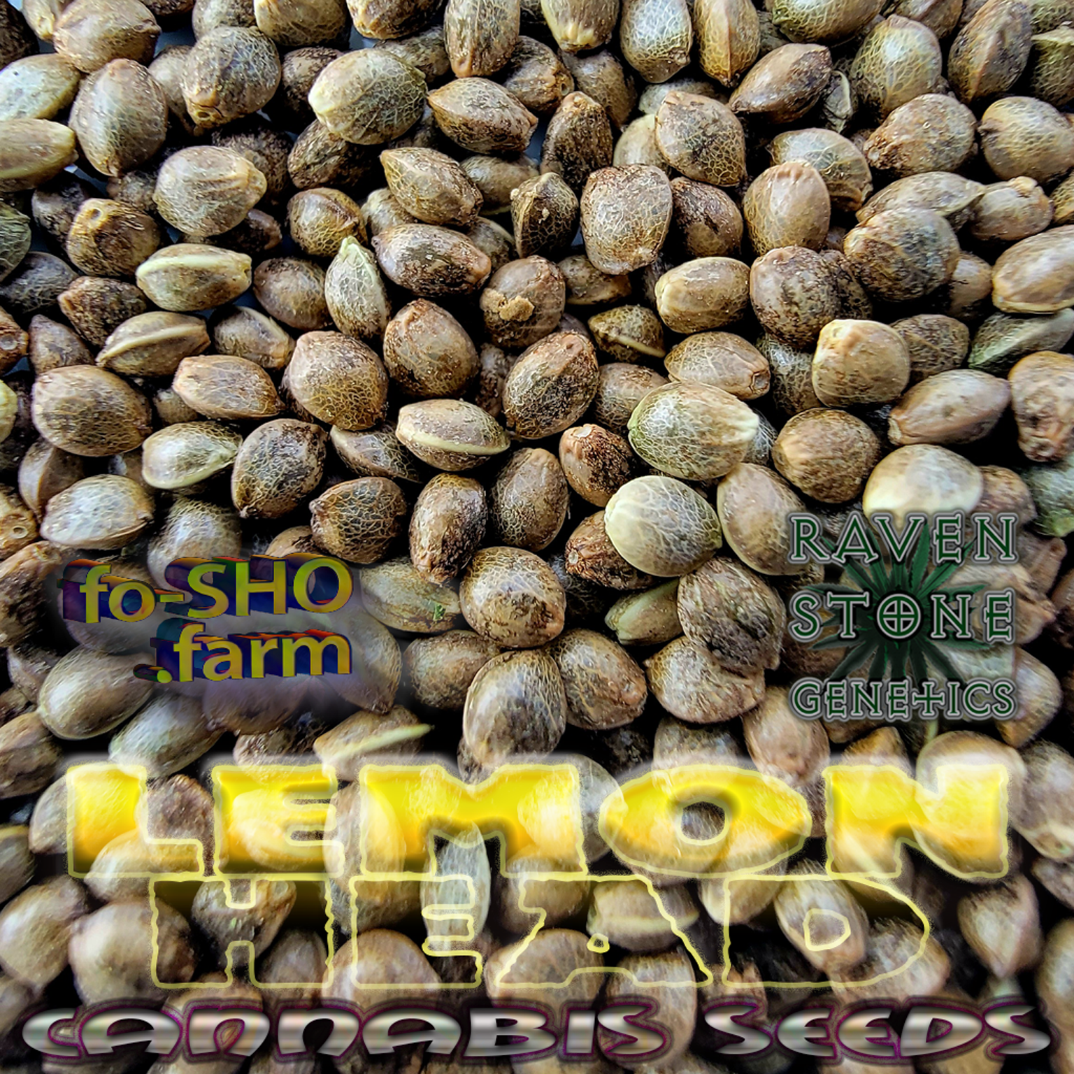 Lemon Head Cannabis Seeds