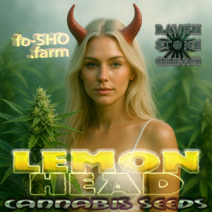 LEMON HEAD Cannabis Seeds