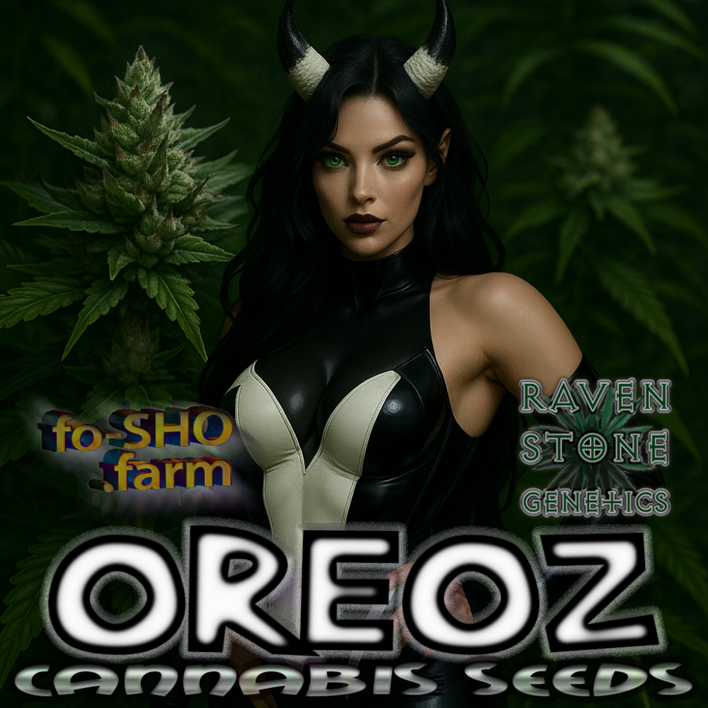 OREOZ Cannabis Seeds