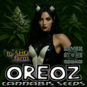 OREOZ Cannabis Seeds