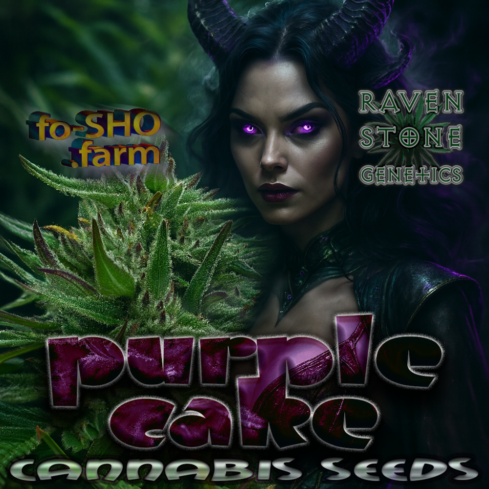 Purple Cake Cannabis Seeds