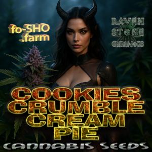 COOKIES CRUMBLE CREAM PIE Cannabis Seeds