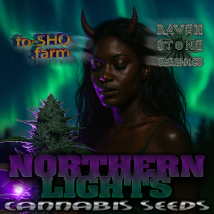NORTHERN LIGHTS Cannabis Seeds