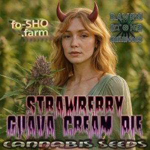 STRAWBERRY GUAVA CREAM PIE Cannabis Seeds