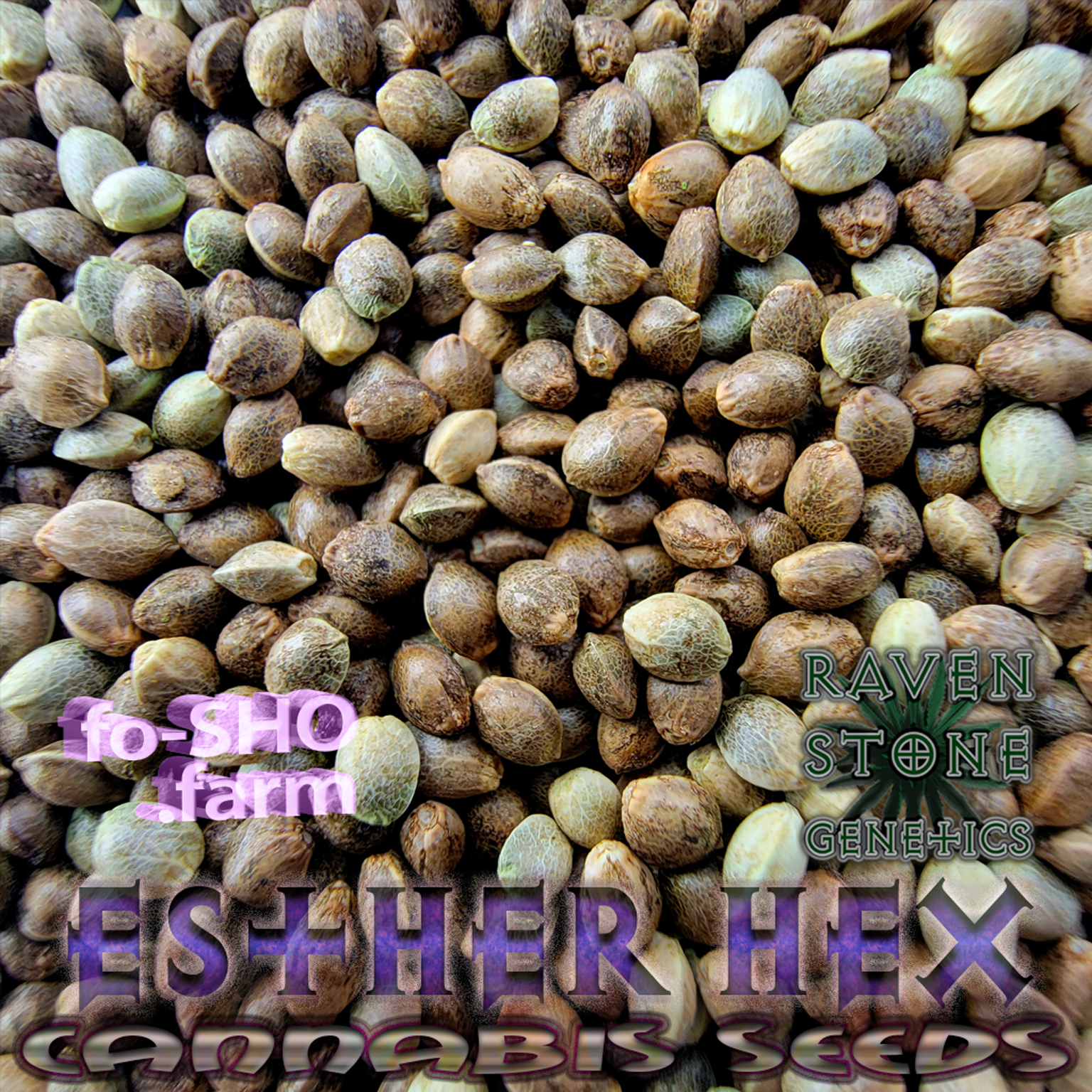 Esther Hex Cannabis Seeds