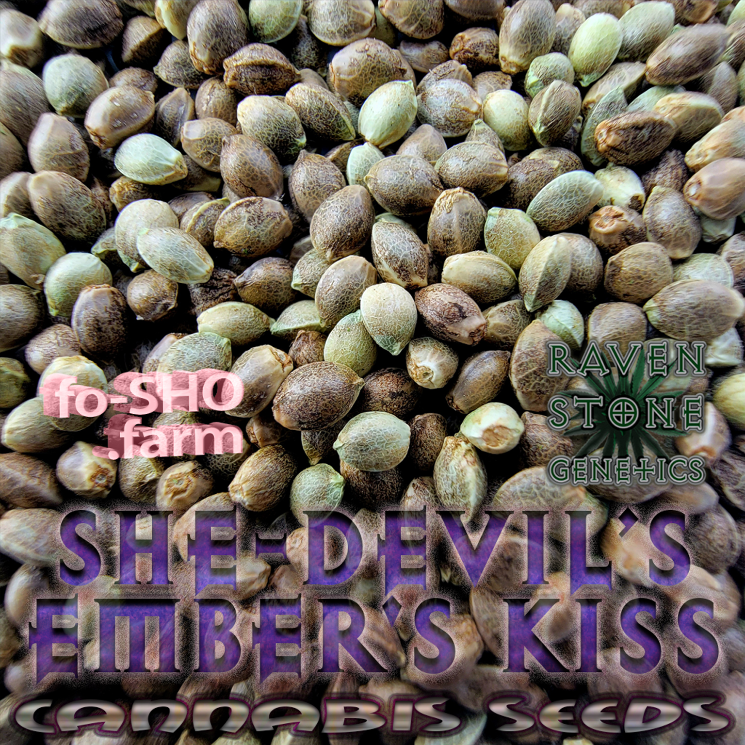 She-Devil's Embers Kiss Cannabis Seeds