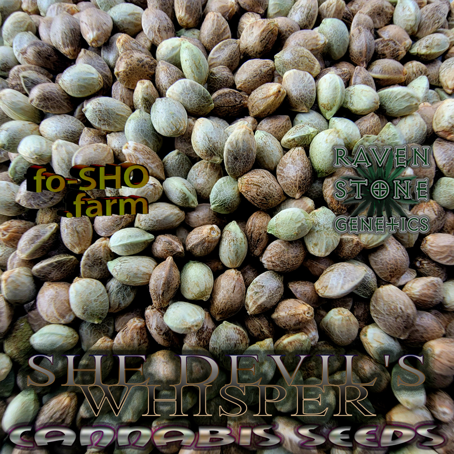 She-Devil's Whisper Cannabis Seeds